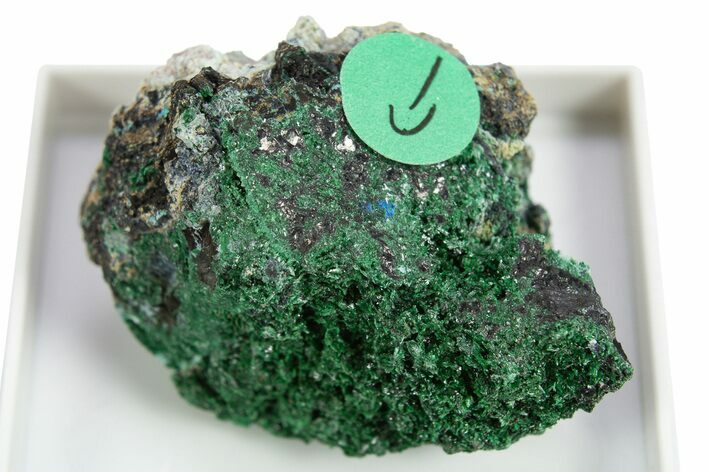 Rare Blue Buttgenbachite w/ Malachite & Cuprite - DR Congo #309641